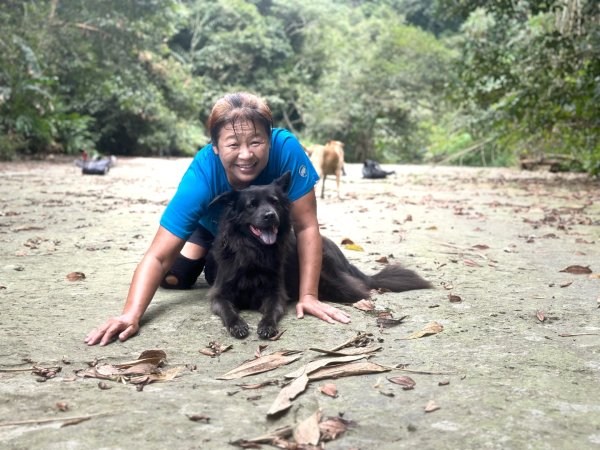 阿里山達娜伊谷、里美避難步道、巨石板步道2909929