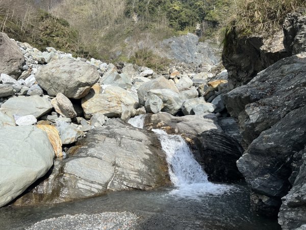 【駒盆西稜上馬博下嘆息灣D6】玉林橋、中平林道2444745