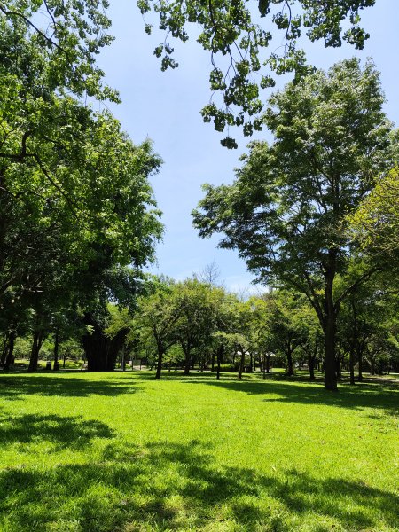 大安森林公園、港墘公園、文德三號公園【走路趣尋寶】【臺北健走趣】2549680