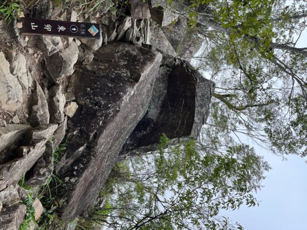 20230604_東卯山（谷關七雄之老五）2762509