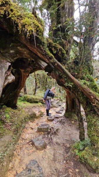 太平山翠峰湖見晴懷古步道2629010