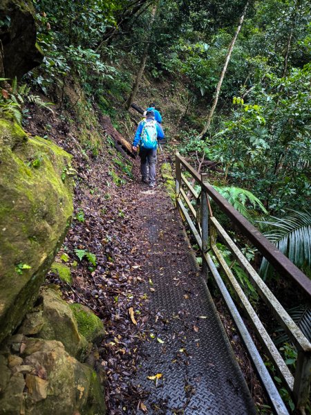 2025-03-08 汶水三山：金童山、汶水山、玉女山 連走2736499
