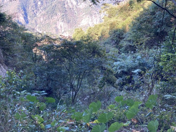 20221120馬崙山2102689