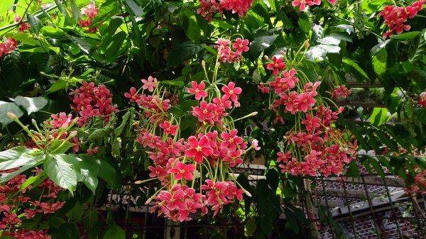 祥豐社區越嶺正濱漁港2235035