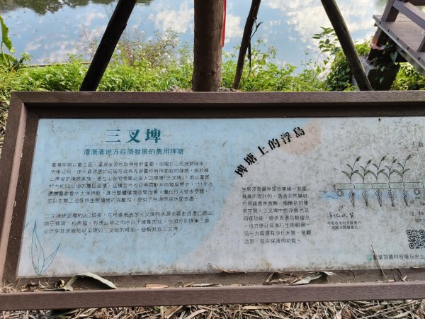 2024.01.07 橫山三叉埤、墩子銃古道2843822