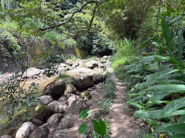 四寮溪生態步道2828542