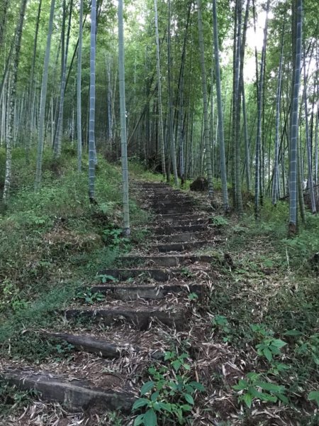 起九芎神木嘉南雲峰.石壁山.好望角432279