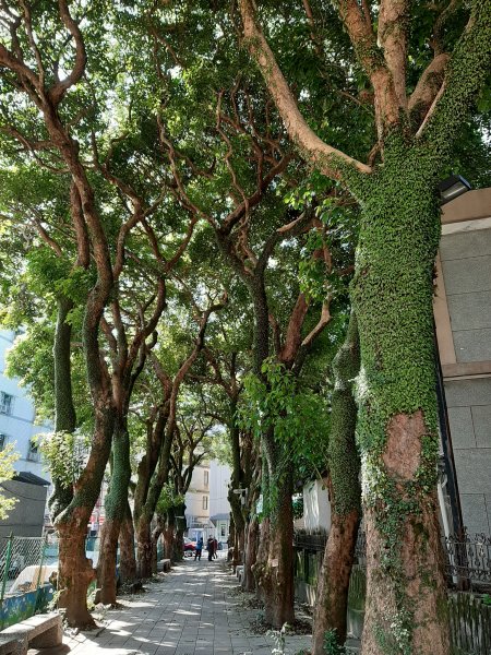 小百岳 No.19鳶山 6.基隆山1122539