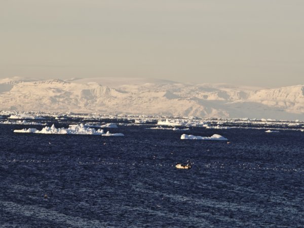 [紐約馬之行-33] 2025_1106 峽灣遊客中心2947929