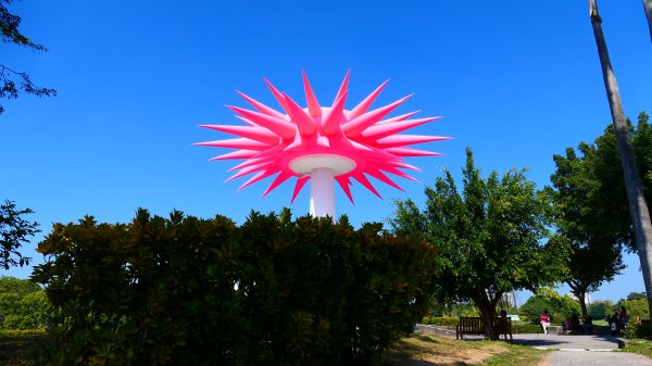 高雄冬日遊樂園3001968