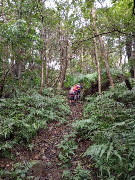 雷公埤山-鱷魚島觀景-小格頭獅頭山2001502
