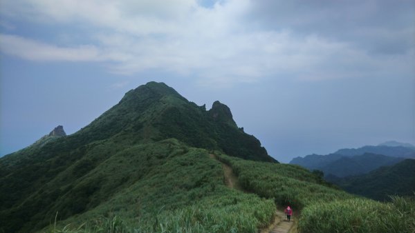 茶壺山、半屏山o縱950864