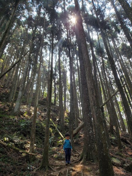 1100321阿興阿賢新竹油羅山1412791