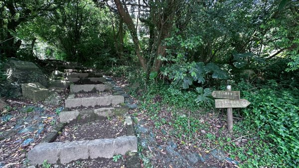 台北大縱走第二段2786951