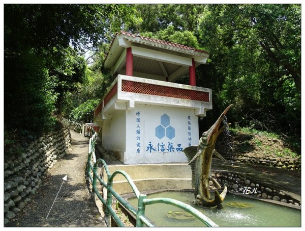 大甲/鐵砧山(小百岳)631027