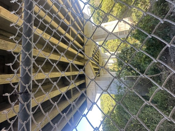 苗栗西湖-柚子山步道2615574