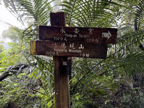 [微笑山線_第三段] 2026_0328 鳶山山系_鳶山彩壁3025671