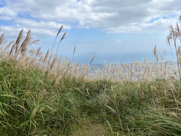 20231118_鵲子山步道（宜蘭小百岳）2763000