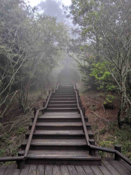 雲霧步道 苗栗觀霧912940