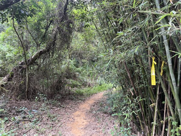 [皮皮獅探險隊-04/10] 2025_0706 三段崎古道2831744