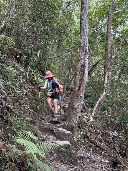 唐麻丹+蝴蝶谷O繞2887839