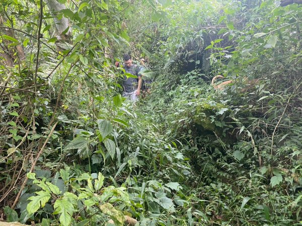 三寶山(烏心石山.鳩州嶺.尖凍山)步道【變成夢魘的大秘寶】2639857