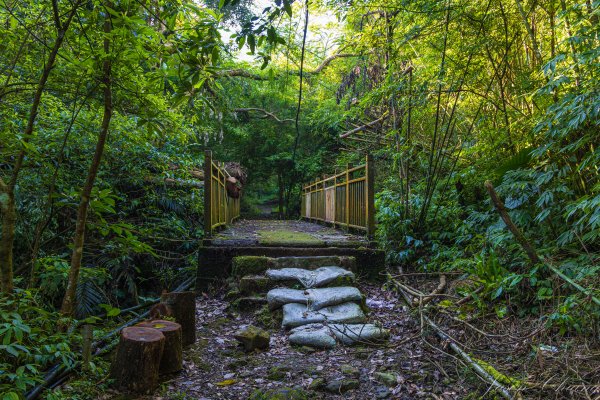 [新北]白雞山與裕峰煤礦遺址2891857