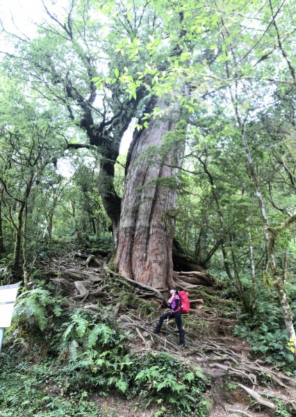 宜蘭 四季 加羅湖633831