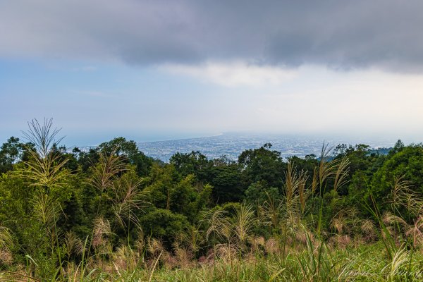 [宜蘭]鵲子山2932529