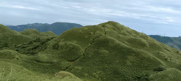 20230729_七星山主峰東峰步道2234452