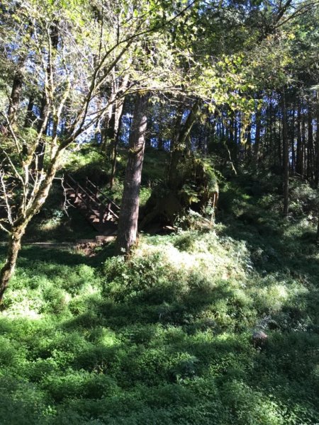 阿里山雙峰大塔山對高岳連走451419