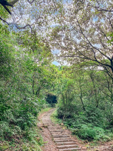 ＜小百岳＞基隆市．姜子寮山步道974988