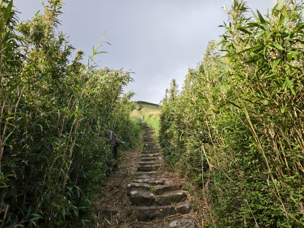 [百山百鳥尋旅-11/15] 2025_0927 大屯主峰-連峰步道_大屯山2899274