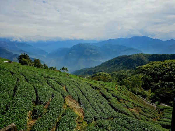 雲嘉大尖山、二尖山步道--(雲林)臺灣百大必訪步道2955763