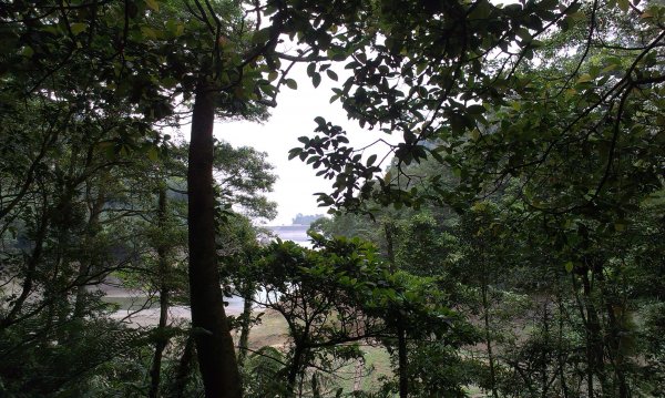 蓬萊仙島_石牛山_油井窩山O型201404301959935