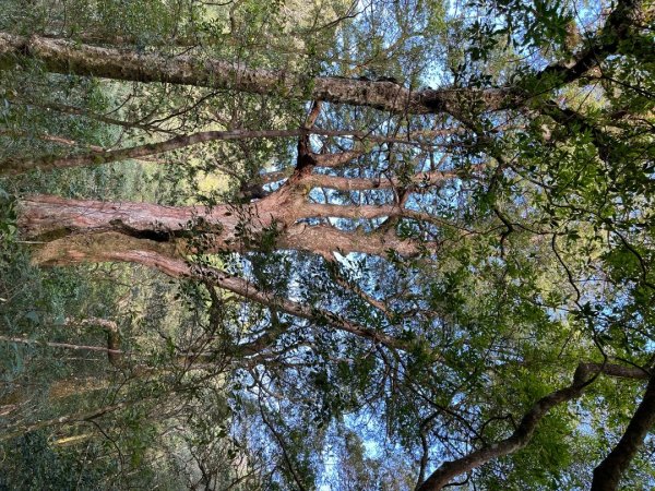 20221112_北得拉曼山2762264