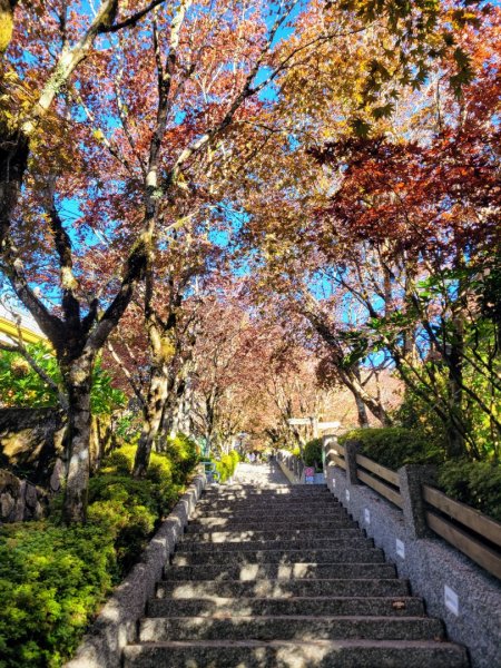 太平山森林遊樂區+太平三秀(三星山、望洋山、見晴山)1869229