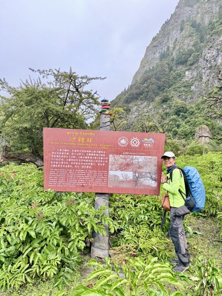 滇西北亞丁自由行D13（上雨崩至冰湖徒步記） 2026.9.133133197