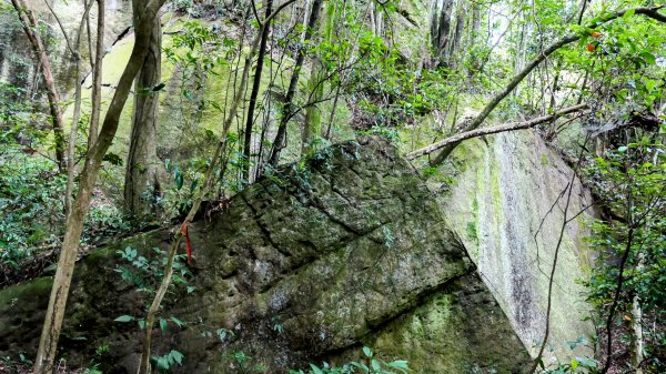 大邱田石門洞2856202