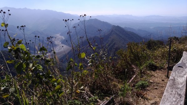 20190207馬那邦山519009