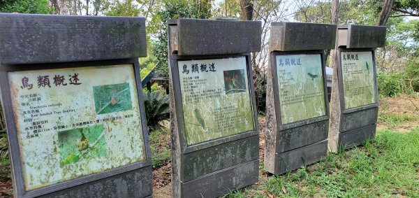 2021-09-20紅淡山登山步道1465692