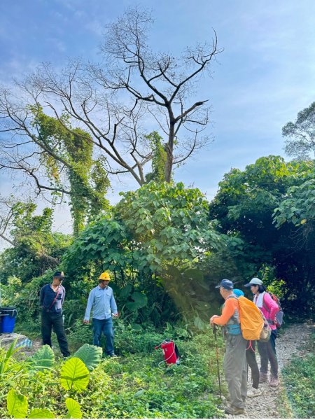 古坑地母廟走荷苞山(登山步道)訪小溪子山2947128