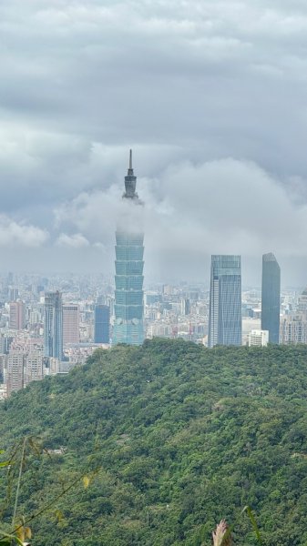 南港山(小百岳#13)/中華科技大學南港山來回2938261