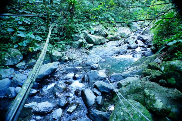 桃園 復興 上宇內山、南插天山3129130