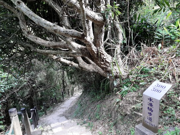 【跟著寶寶漫步參山】獅頭山五連走1135982