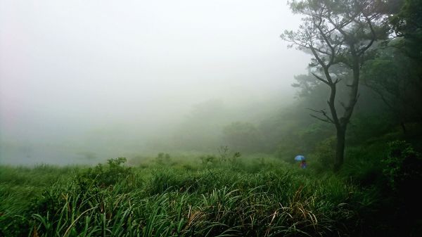 梅雨特訓~陽明山四湖連走137552