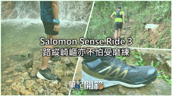 salomon sense ride pro