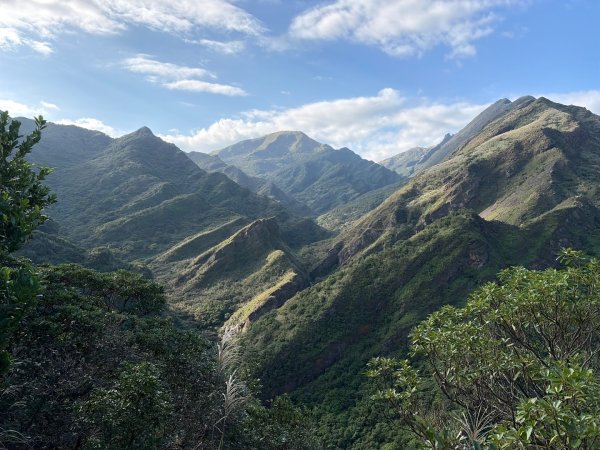 新北 瑞芳 黃金八稜七稜O型2956137