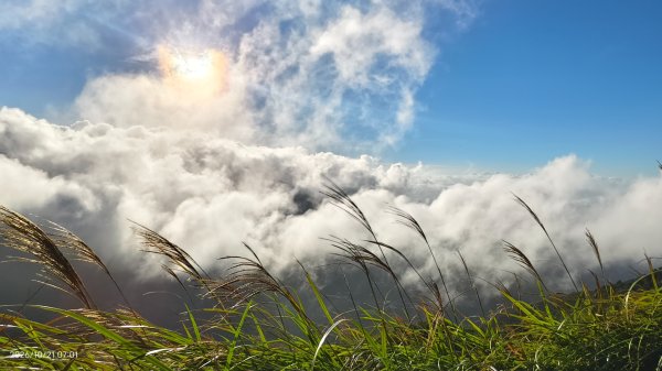 #大屯山 #日出 #雲瀑 #過山雲 #雲端的男人 10/213137758