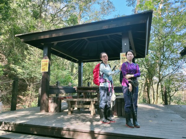 1110116 大坑四，五，三之一號步道O型一圈1584050